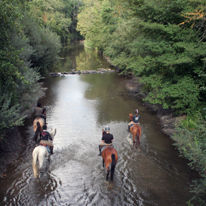 Exclusive Wine Tourism Package at Domaine de Viranel Exclusive Wine Tourism Package at Domaine de Viranel