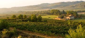 Le Terroir du Château Viranel, domaine viticole dans le Languedoc Le Terroir du Château Viranel, domaine viticole dans le Languedoc