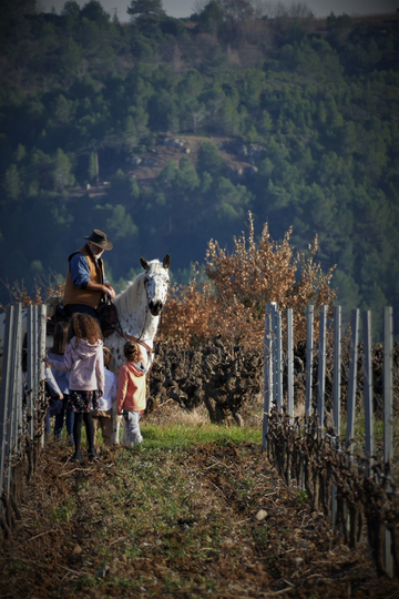 Découvrez notre Offre Œno-Touristique Exclusive au Domaine de Viranel Découvrez notre Offre Œno-Touristique Exclusive au Domaine de Viranel