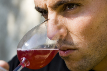 What is a gastronomic rosé? What is a gastronomic rosé?