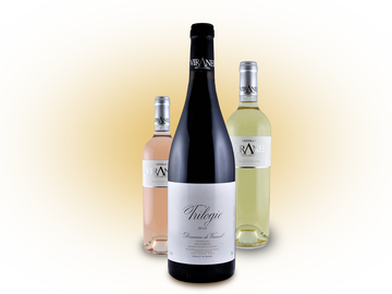 Quels sont les meilleurs vins du Languedoc (Occitanie)