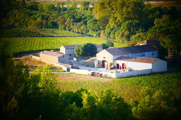 Où faire de l'oenotourisme dans le sud de la France ? Où faire de l'oenotourisme dans le sud de la France ?