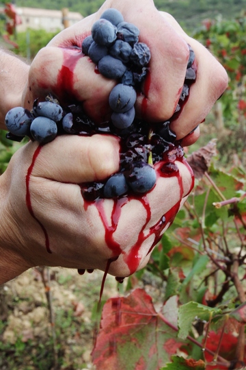 What is responsible farming?