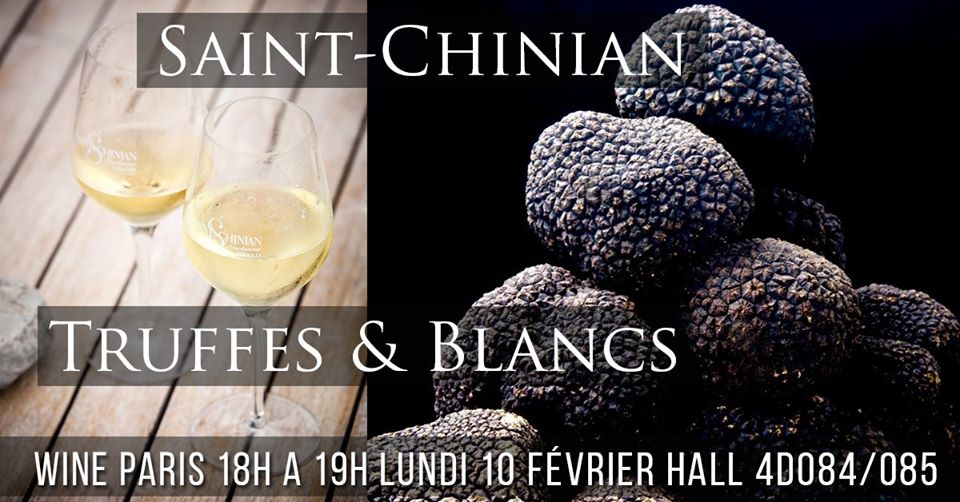 Saint Chinian : truffes et vins blancs