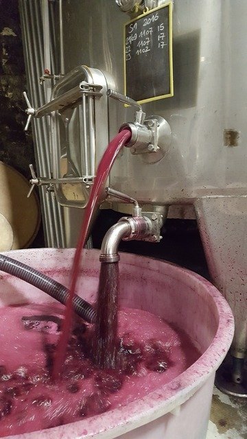 les méthodes de vinification des vins du Languedoc