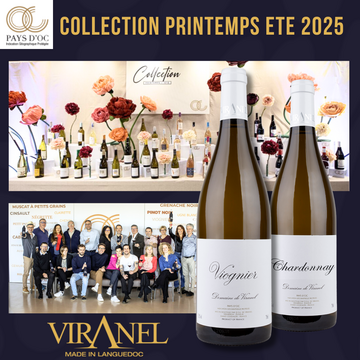 Chardonnay & Viognier sélectionnés pour la Collection Printemps-Été des Pays d’Oc