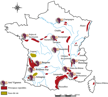 Nos Amis Vignerons (hors région)