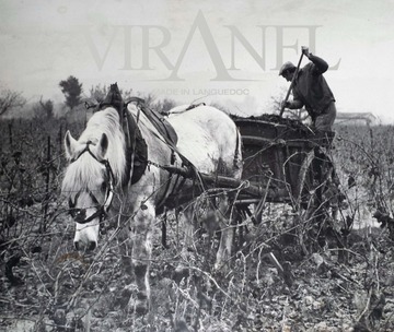  Histoire de Famille dans le Languedoc