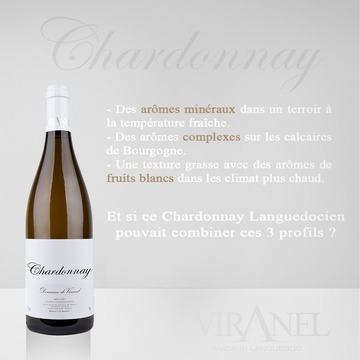 A stylish Chardonnay from Viranel