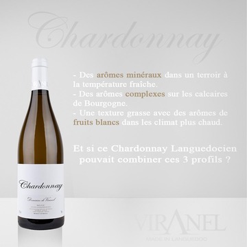 Un Chardonnay Stylé signé Viranel Un Chardonnay Stylé signé Viranel