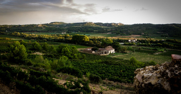 Vins AOC du Château Viranel