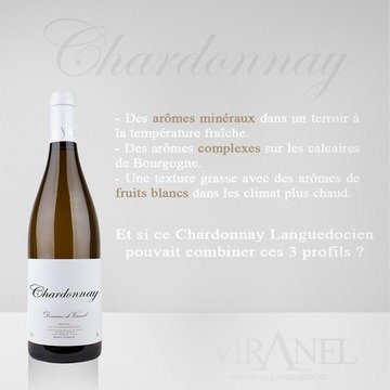 Un Chardonnay Stylé signé Viranel Un Chardonnay Stylé signé Viranel
