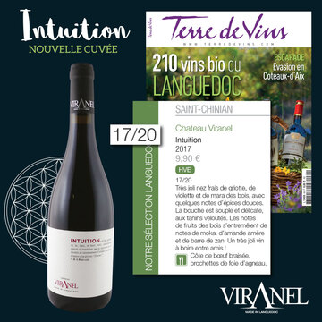 TERRE DE VINS INTUITION 2017 SAINT CHINIAN LANGUEDOC 17/20